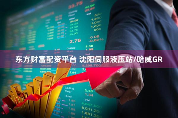 东方财富配资平台 沈阳伺服液压站/哈威GR